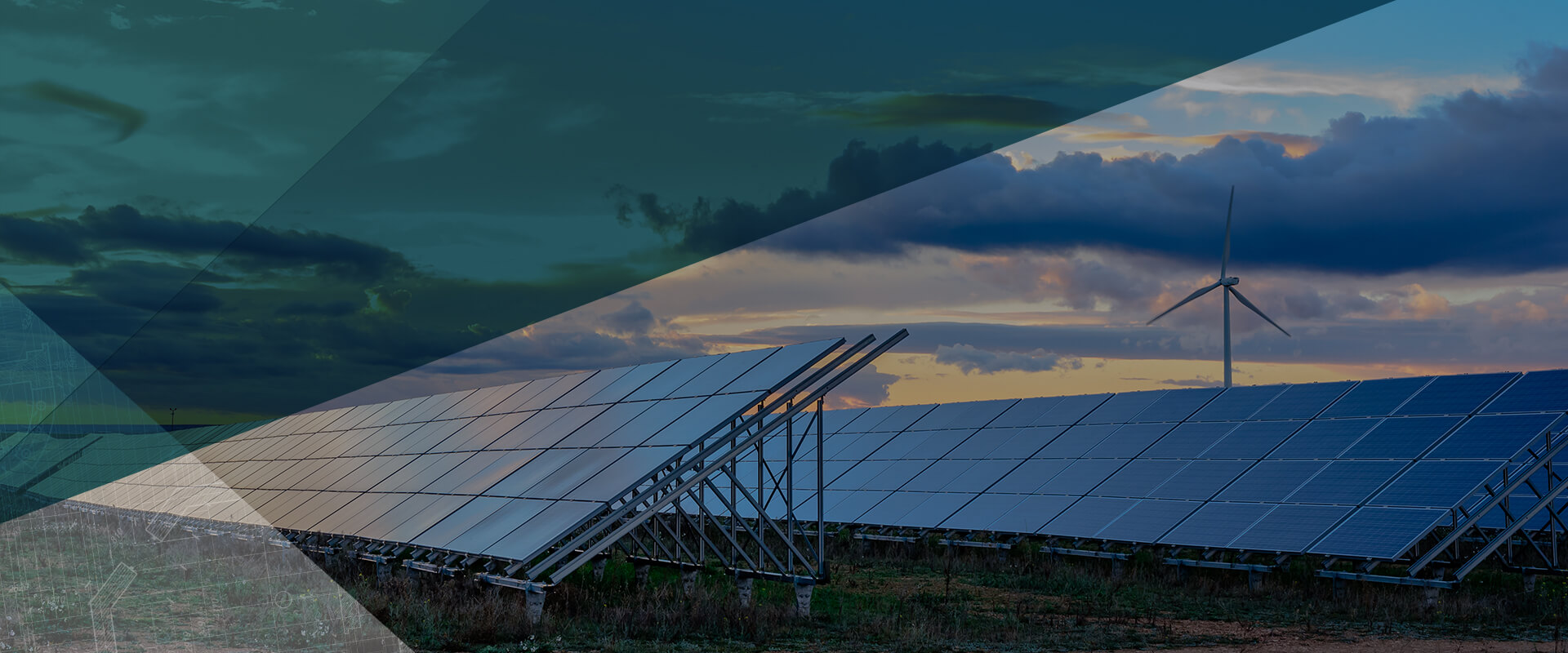 &nbsp;